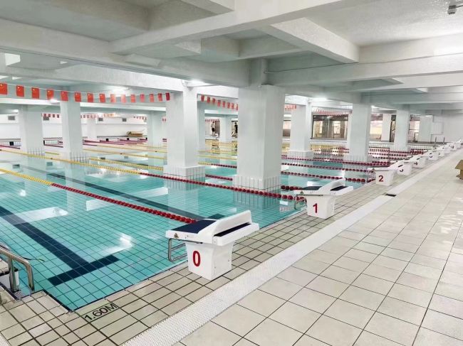Starting Block Swimming Pool
